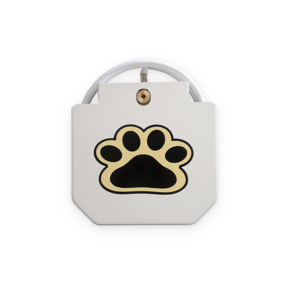 Automatic Outdoor Dog Water Fountain