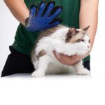 Luxurious Grooming Glove